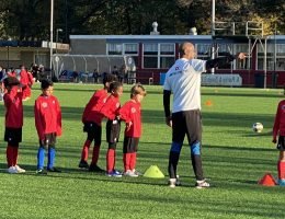 20241103_082533185_iOS