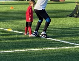 20241103_082701195_iOS (1)